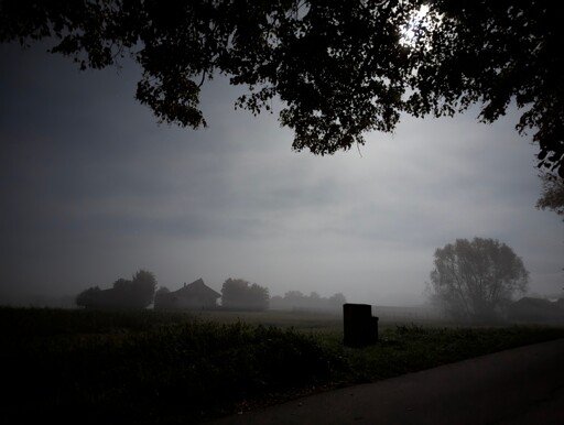 Fogging Distributor