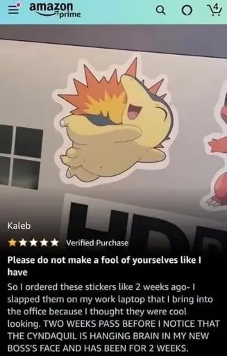 Amazon review of a sticker showing the pokemon cyndaquil with a penis saying: "Please do not make a fool of yourselves like I have  So I ordered these stickers like 2 weeks ago- I slapped them on my work laptop that | bring into the office because I thought they were cool looking. TWO WEEKS PASS BEFORE I NOTICE THAT THE CYNDAQUIL IS HANGING BRAIN IN MY NEW BOSS'S FACE AND HAS BEEN FOR 2 WEEKS."