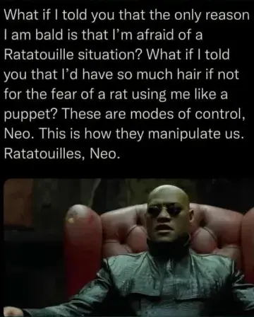 "What if I told you that the only reason I am bald is that I'm afraid of a Ratatouille situation? What if I told you that I'd have so much hair if not for the fear of a rat using me like a puppet? These are modes of control, Neo. This is how they manipulate us. Ratatouilles, Neo." Picture of Morpheus from the Matrix